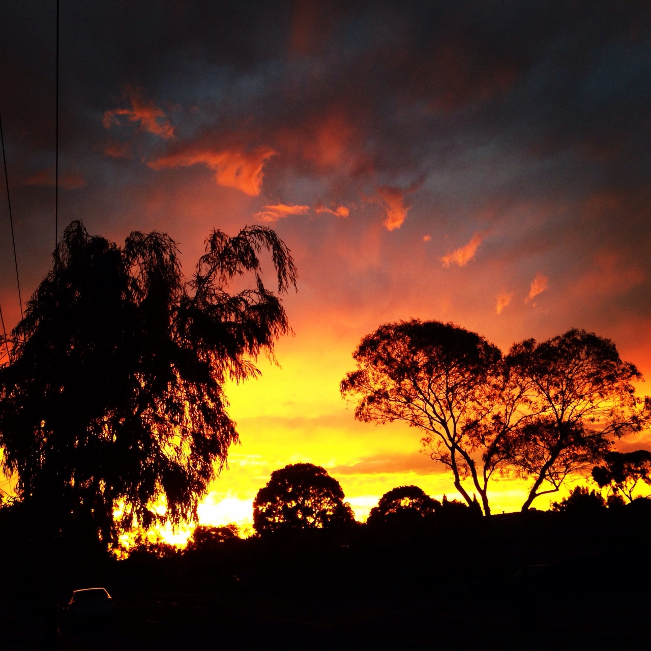 Aussie Summer sunset
